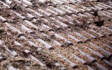 Middleforth Green roof cleaning companies