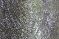 Middleforth Green fibreglass roof work